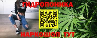 альфа пвп Камышлов