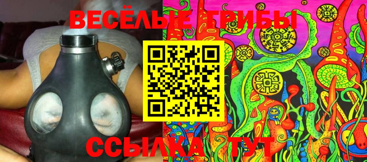 Галлюциногенные грибы Psilocybe  Вход с VPN  Кушва 